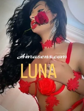 19 - Luna Trans Trapani - 3510303795
