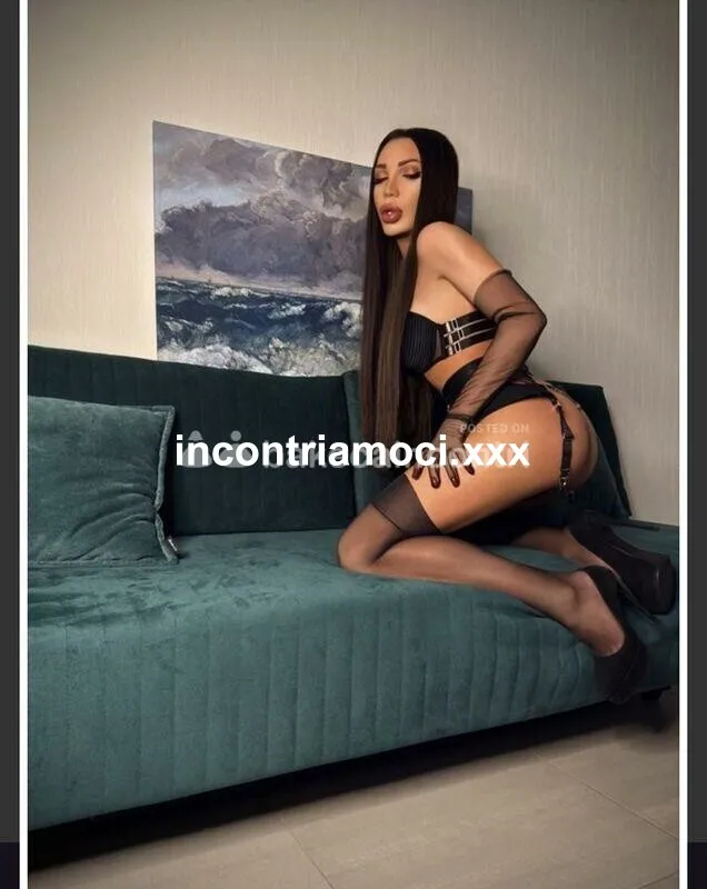 Sammy Trans