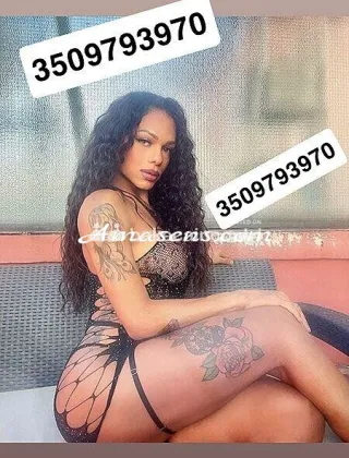 3 - Sara Trans Bergamo - 3509793970