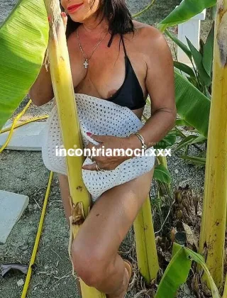 26 - Vale Trans Palermo - 3512840279