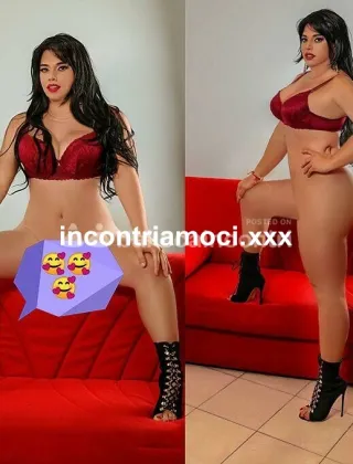 24 - Katalina Trans Macerata - 3508145332