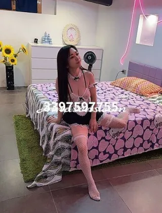 14 - .. Escort Pavia - 3397597755