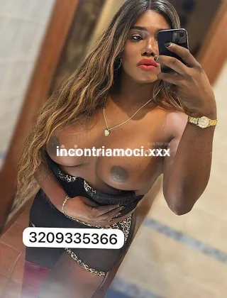 28 - Paloma Trans Caserta - 3209335366