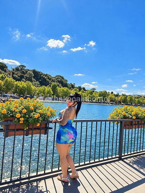 Nikol