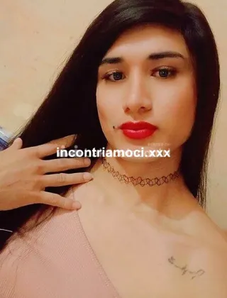 11 - Mia Trans Valle d'aosta - 3295569050
