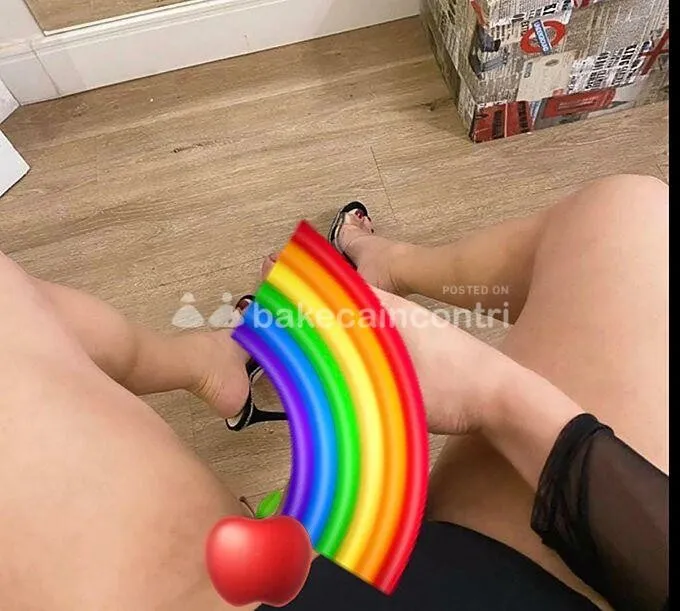 Anaconda Trans