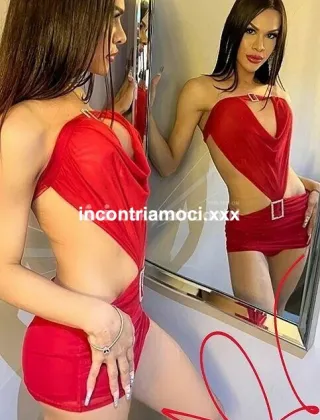 30 - Cindy Trans Frosinone - 3349489898
