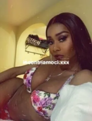 1 - Katy Trans Salerno - 3512509740