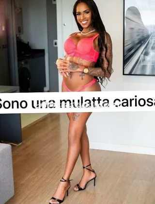 13 - Bruna Trans Verona - 3286511329