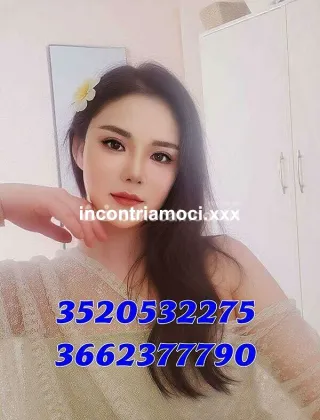 28 - Linda Escort Bologna - 3520532275