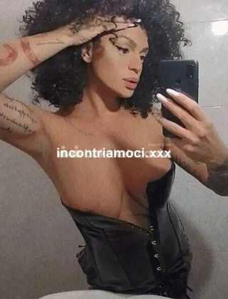 30 - Serena Trans Udine - 3271309016