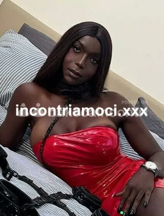 3 - Sabrina Trans Lucca - 3520830247