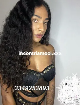 22 - Zara Trans Belluno - 3349253893