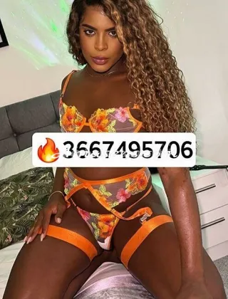 5 - Diana Trans Roma - 3667495706