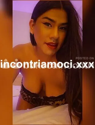 23 - Sofia Trans Varese - 3273488866