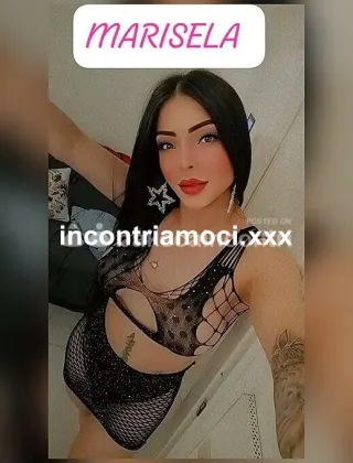 7 - Trans Latina - 3274932725