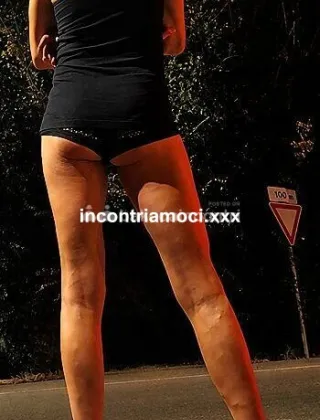 1 - Liana Trans Bologna - 3534521557