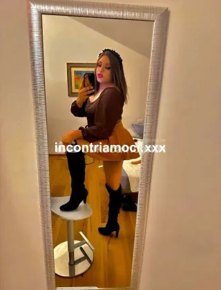 18 - Trans Trans Trento - 3508578836
