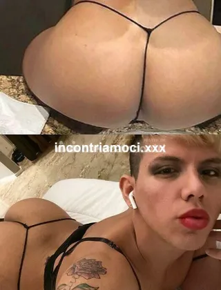 22 - Emafemboyitaliana Trans Lucca - 3513031291