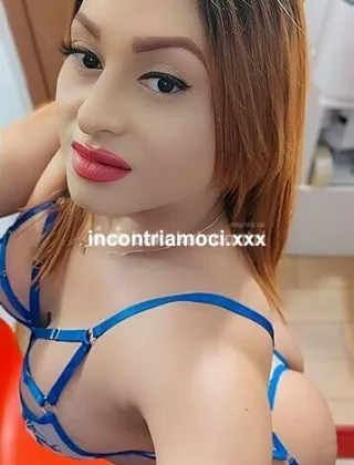 26 - Zara Trans Perugia - 3510519257