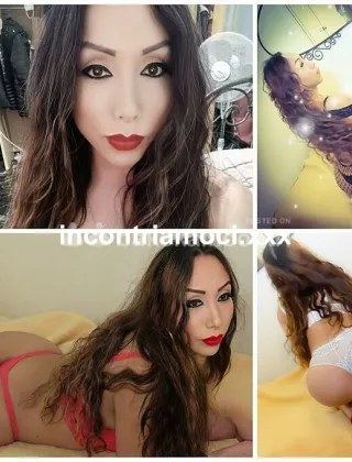 23 - Solange Trans Bologna - 3512264972