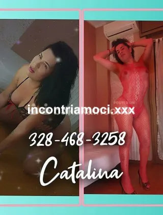 27 - Catalina Trans Milano - 3284683258