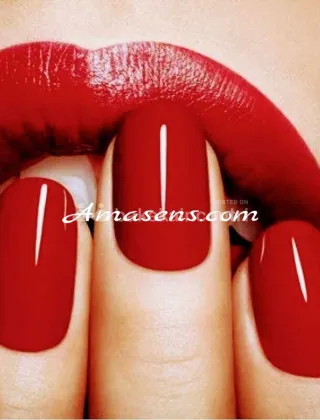 5 - Eva Trans Trieste - 3472859451