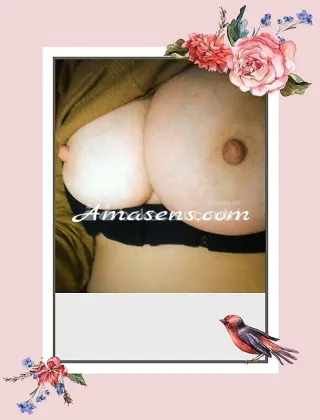3806545851 - Italianissima