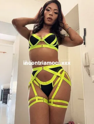 30 - Maisa Trans Imperia - 3288851769