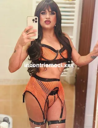 30 - Trans Trans Bologna - 3508857694