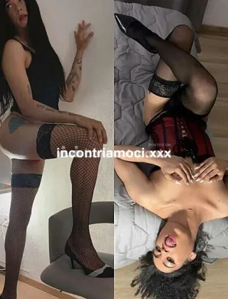 15 - Luyza Trans Genova - 3317469113