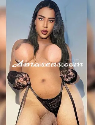 14 - Jade Trans Verona - 3511277385