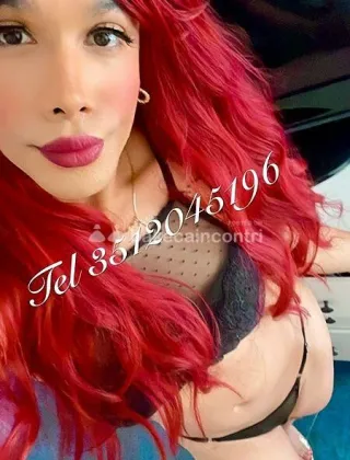19 - Roberta Trans Verona - 3512045196