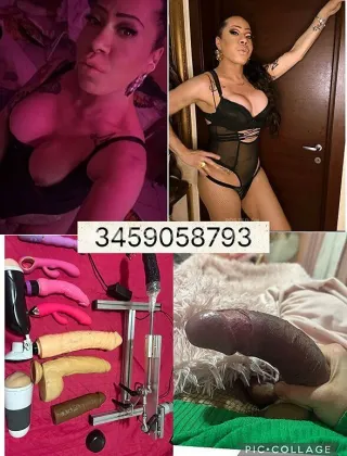 6 - Valeria Trans Piacenza - 3459058793