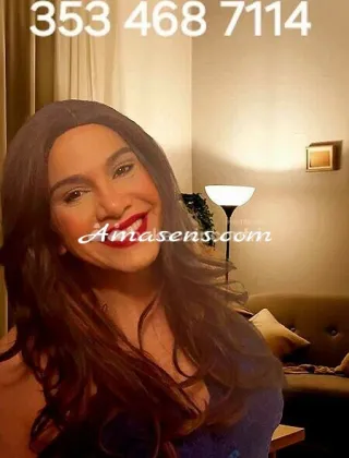 3 - Linda Trans Bergamo - 3534687114