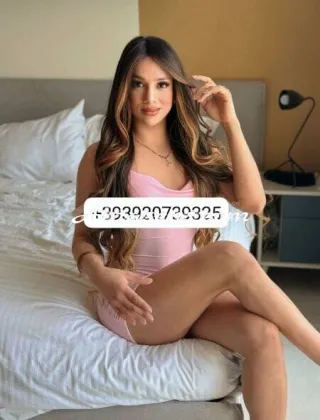 27 - Raiza Trans Venezia - 3920739325