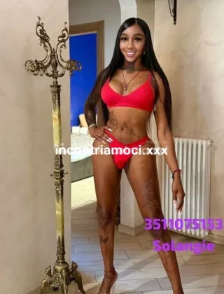 19 - Orsola Trans Bologna - 3511075153