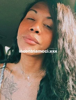 20 - Vania Trans Cuba Xxl Trans Cremona - 3401348255