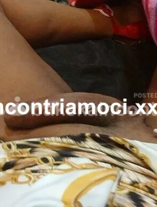 20 - Megan Trans Ancona - 3391507605