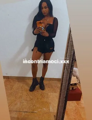 6 - Alessandra Trans Biella - 3277464615