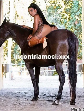 12 - Gabriela Trans Milano - 3292213799