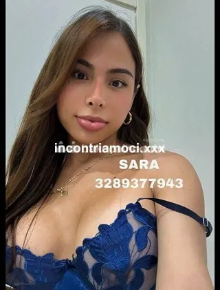 31 - Sara Trans Genova - 3289377943