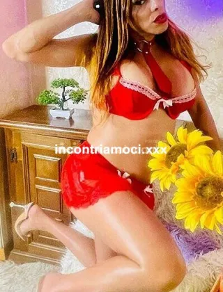 3534931458 - Giulia 30 Trans Monza e della Brianza
