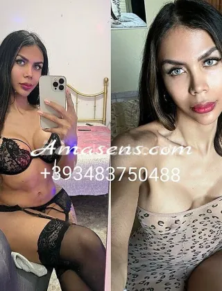 15 - Sirena Trans Mantova - 3483750488