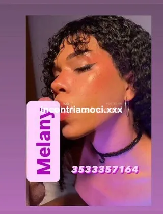 3533357164 - Melanny 20 Trans Firenze