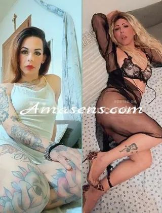 9 - Dayse Trans Torino - 3533266520