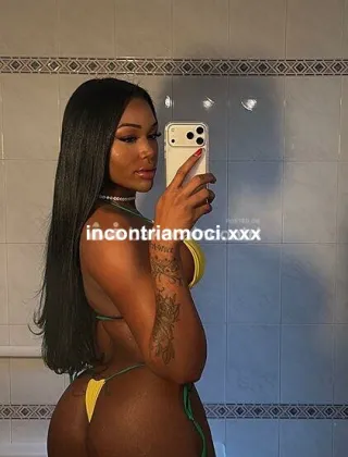 20 - Sthe Trans Pisa - 3936962149