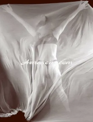 3 - Ladybocca Trans Fermo - 3465474482