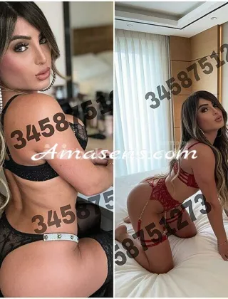 17 - Sofy Trans Lucca - 3458751273
