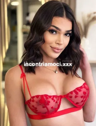 3 - Sara Trans Torino - 3532358318